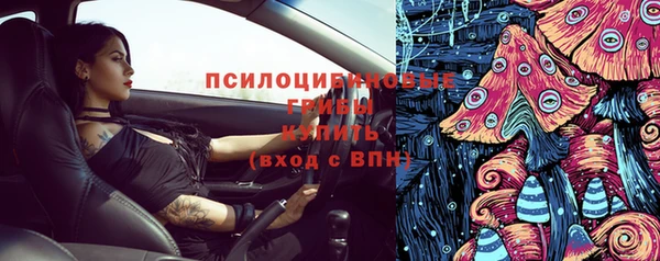 твердый Магас
