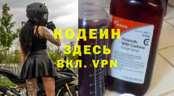 твердый Магас